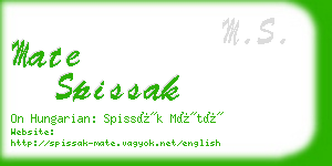mate spissak business card